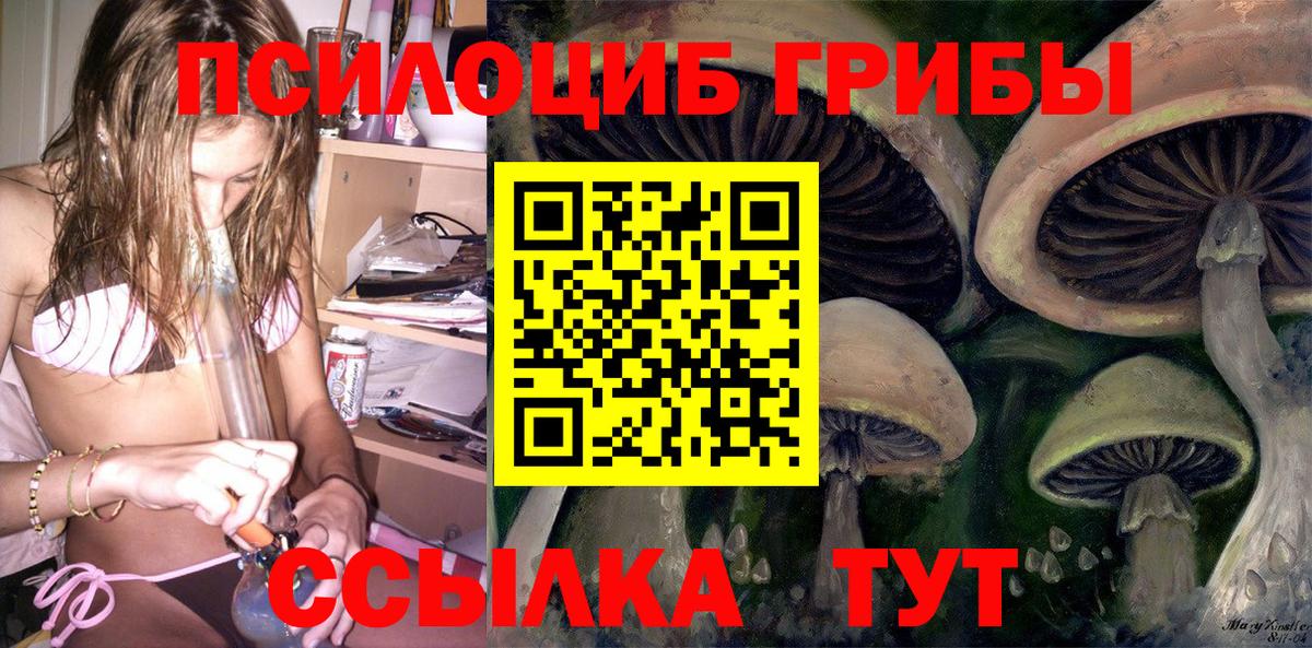 Галлюциногенные грибы Cubensis Саратов