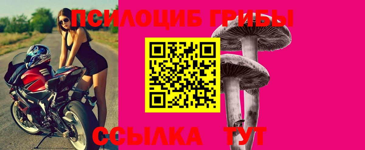 Саратов  Псилоцибиновые грибы GOLDEN TEACHER  Псилоцибиновые грибы Cubensis  Вход с VPN 